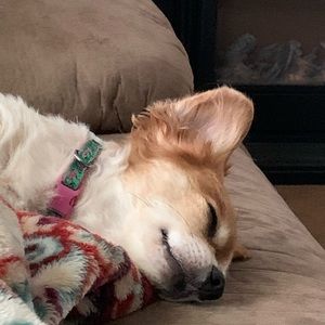 Meet your Posher, Emilie